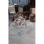 Cây gỗ lũa bonsai cho hồ kích thước lớn ( hồ cá 90cm trở lên)