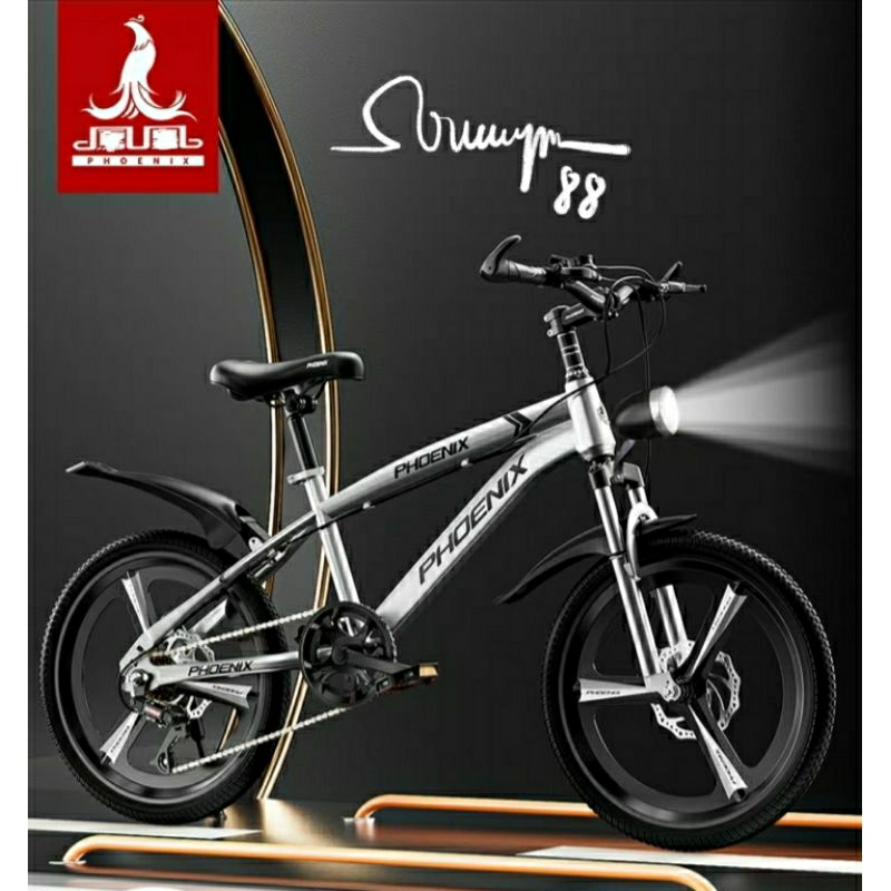 XE ĐẠP THỂ THAO PHOENIX  20INH CHO TRẺ 6÷16TUỔI