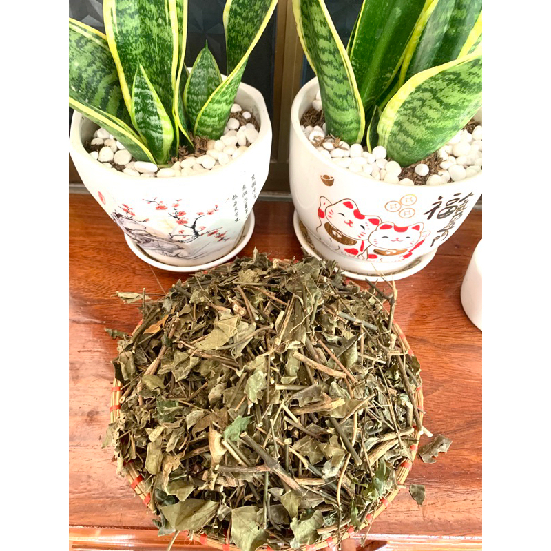 CHÈ VẰNG SẺ LOẠI 1 LỢI SỮA GIẢM CÂN CHO MẸ SAU SINH THƠM NGON DỄ UỐNG 1KG