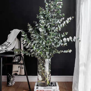 Lọ hoa thuỷ tinh cao cấp hình trụ tròn nhiều kích thước 10 x25/30/40 cm
