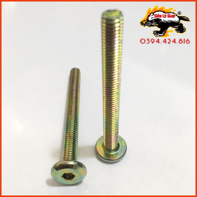 Set 10 con Bulong Ốc lục giác Xi màu vàng - M6 Đầu dù dẹp | Shopee Việt Nam