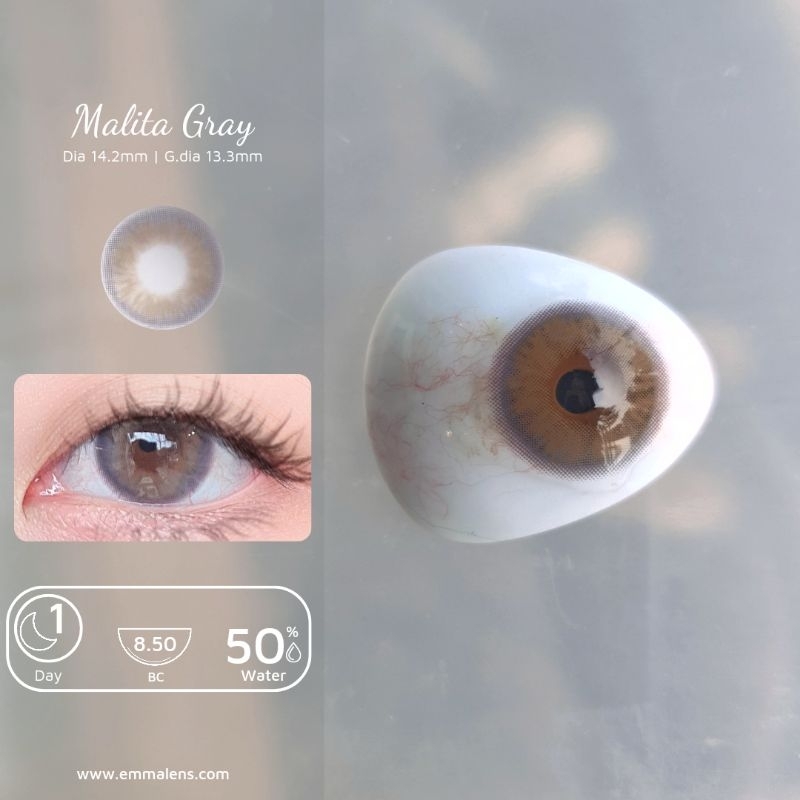 🌸 Kính áp tròng 1 ngày Malita Gray  - Lens 1 ngày xám tây giãn nhẹ | Emma Lens 🌸