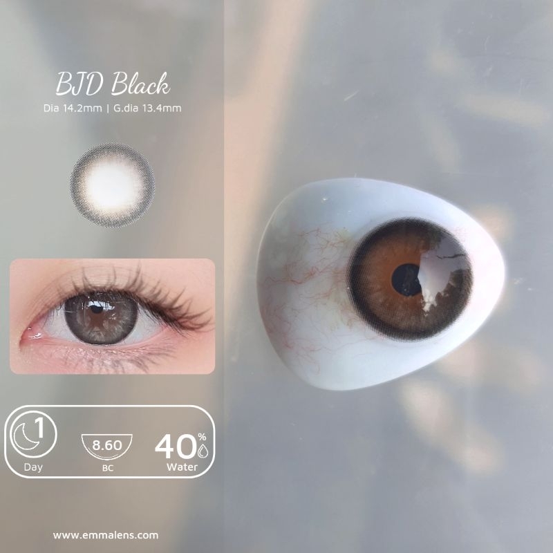 🌸 Kính áp tròng 1 ngày  BJD black - Lens 1 ngày đen mix giãn nhẹ/Emma Super Mini Contact Lens 🌸