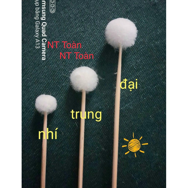 Bông se ráy tai lông vịt [20 cây]