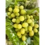 GIAO NHANH HCM - Nho Không hạt ngọt 500GR/1 hộp