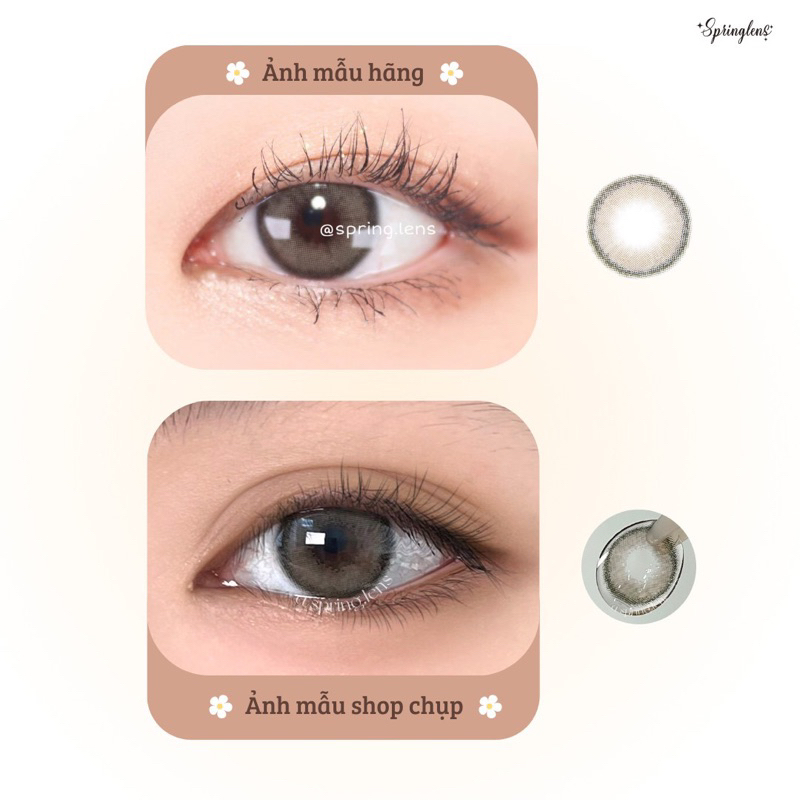 Kính áp tròng NUDE BROWN OLI BROWN (Olivia) nâu xám viền style Hàn 1 tháng | Spring Lens