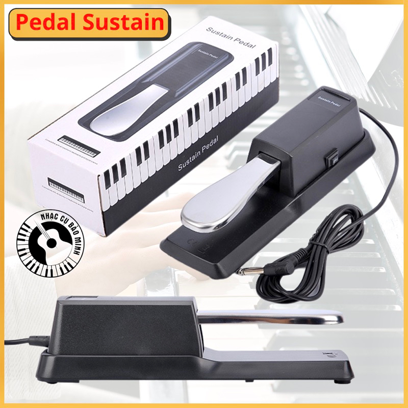 Pedal Sustain mỏ vịt cho Đàn Organ, Piano, Trống Điện Tử - Bàn đạp tạo ...