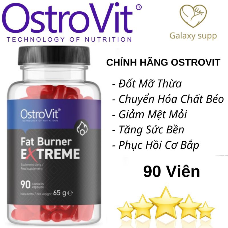 Ostrovit Fat Burner Extreme Đốt Mỡ Giảm Cân (90 Viên) Shopee Việt Nam