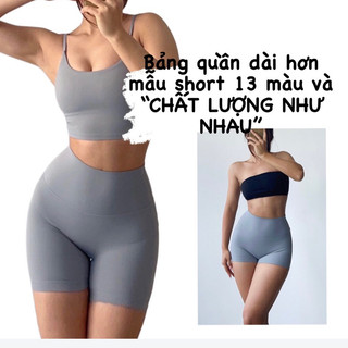 Quần biker,quần ngắn thể thao nữ tập gym,yoga chất poly mát mịn( bảng 9 màu 934)