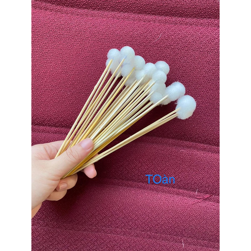 Bông se ráy tai lông vịt[ 50 cây ]loại đẹp