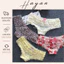 HT022 Quần lót lưng thun nhún bèo cạp cao, quần lót nữ sexy ren mềm mại HT022