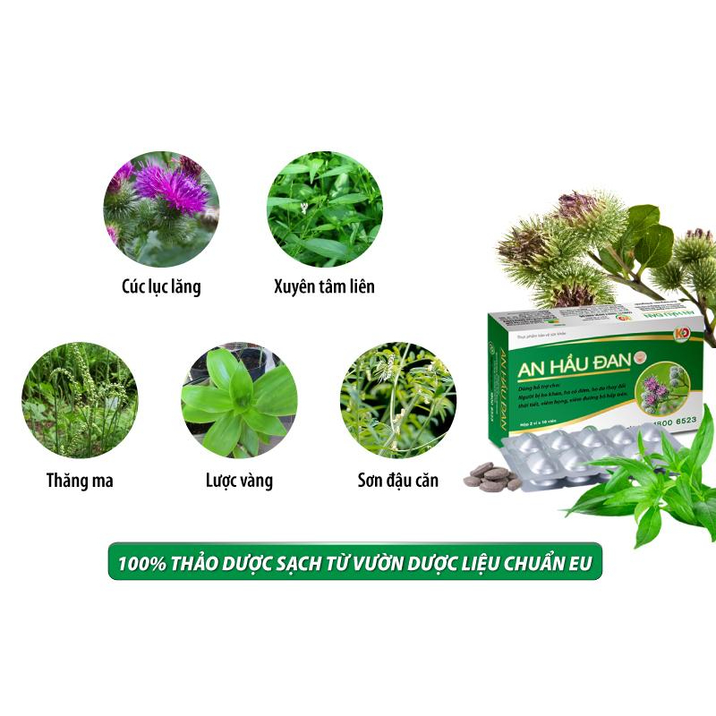 Ảnh AHĐ-Viên Ngậm Ho Thảo Dược An Hầu Đan Zlove Giảm viêm họng hạt, viêm amidan, khàn tiếng, ho có đờm (Hộp 20 viên) 1