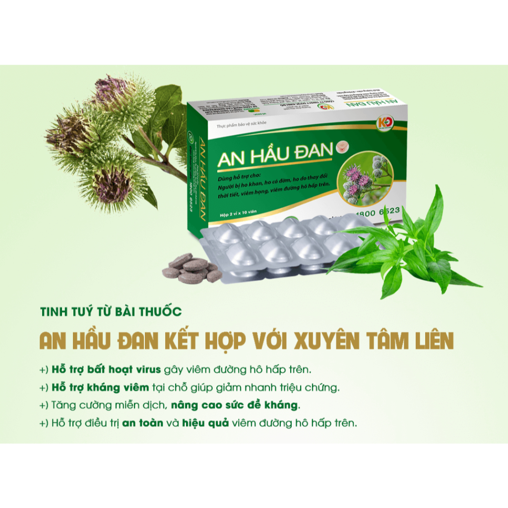 Ảnh AHĐ-Viên Ngậm Ho Thảo Dược An Hầu Đan Zlove Giảm viêm họng hạt, viêm amidan, khàn tiếng, ho có đờm (Hộp 20 viên) 2