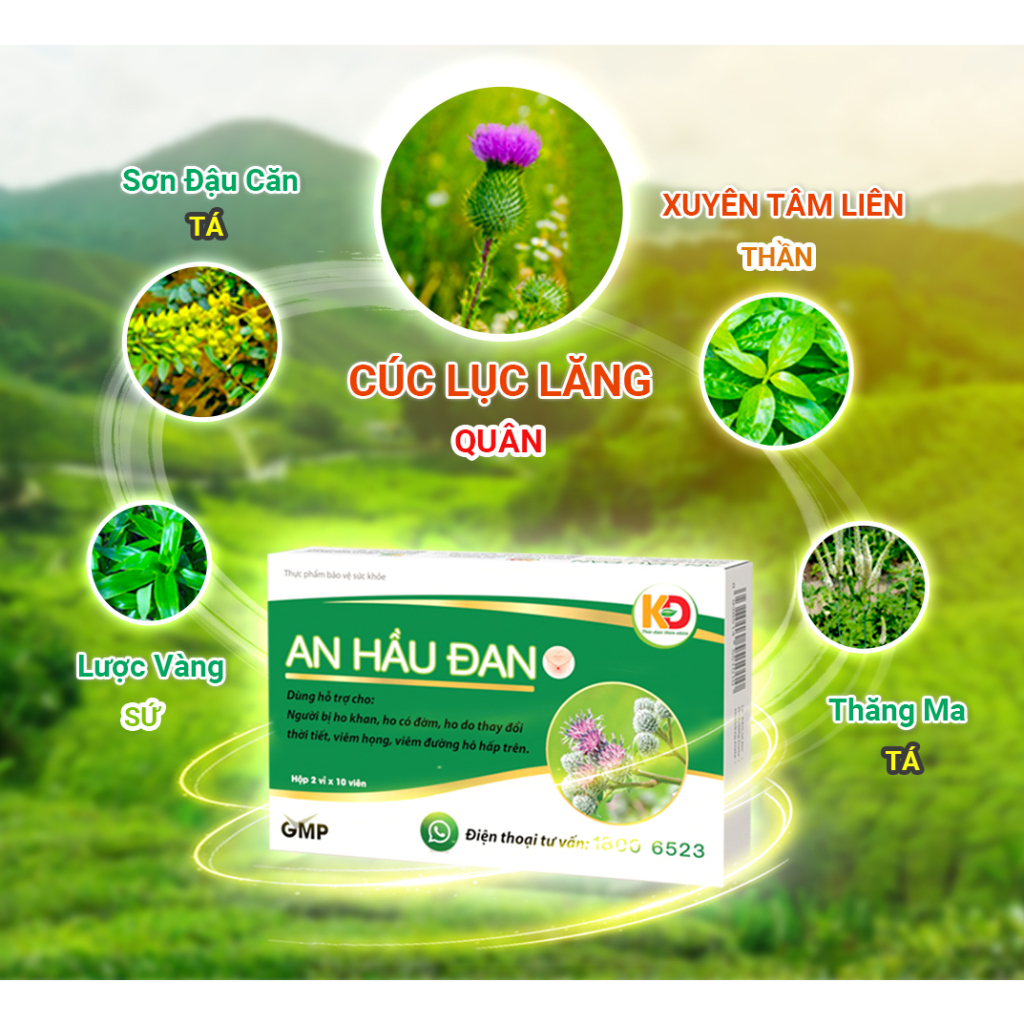 Ảnh AHĐ-Viên Ngậm Ho Thảo Dược An Hầu Đan Zlove Giảm viêm họng hạt, viêm amidan, khàn tiếng, ho có đờm (Hộp 20 viên) 3