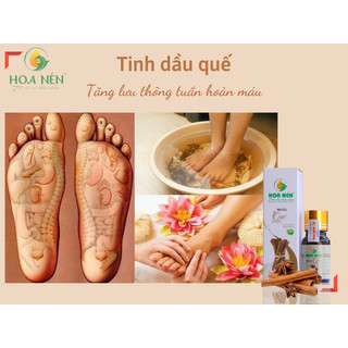 Tinh dầu Quế nguyên chất - Hoa Nén - Hương nồng ấm, khử mùi, xua đuổi côn trù.ng kiến gián - 50ml