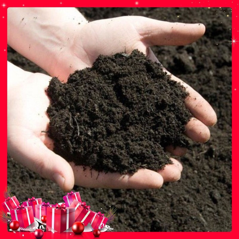 1 Kg Đất Sạch Trồng Cây Siêu Dưỡng Chuyên Dùng Cho các loại cây cảnh Và Các Loại Hoa, Rau Củ siêu tiện