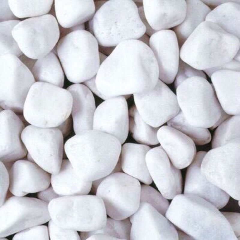 1kg sỏi đại,đá trắng bỏ gốc cây , trang trí cây bon sai, bể cá , sân vườn nhiều size để chọn