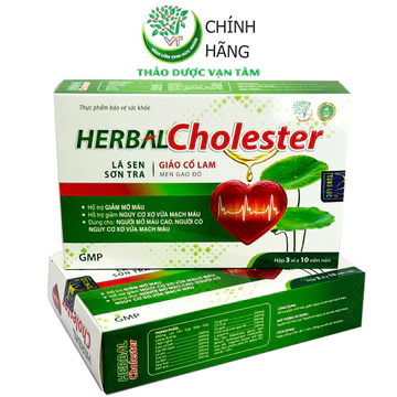 HERBAL Cholester - Hỗ trợ giảm mỡ máu, giảm nguy cơ xơ vữa mạch