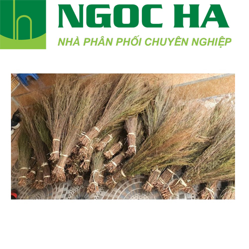 Chổi trện giá rẻ, chất lượng tốt | Shopee Việt Nam