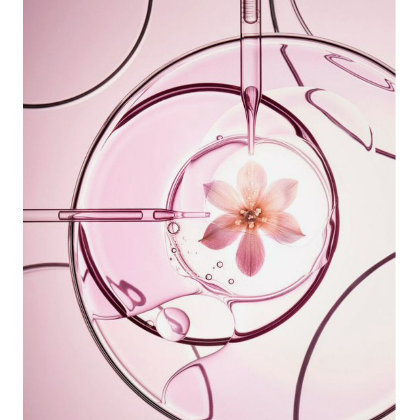 Sữa Rửa Mặt Tạo Bọt Clarista Tokyo Sakura & Hatomugi Facial Foam (130g)