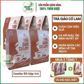 Trà Giảo Cổ Lam Thái Hưng [combo 5 Hộp] Dạng Túi Lọc Giảm Cân Hạ Mỡ Máu An Toàn Hiệu Quả Thảo Dược Từ Rừng VN