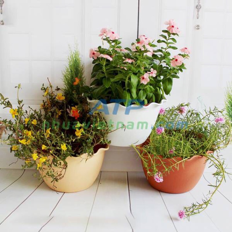 Chậu áp tường bán nguyệt (ốp tim) (25x15x14)cm Chậu ốp tường treo tường có lướt lót bên trong chậu