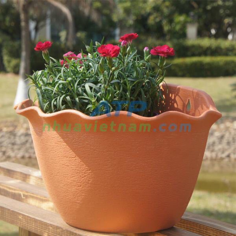 Chậu áp tường bán nguyệt (ốp tim) (25x15x14)cm Chậu ốp tường treo tường có lướt lót bên trong chậu