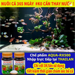 CHẾ PHẨM VI SINH AQUA RX5000 THÁI LAN 365 NGÀY KHÔNG CẦN THAY NƯỚC