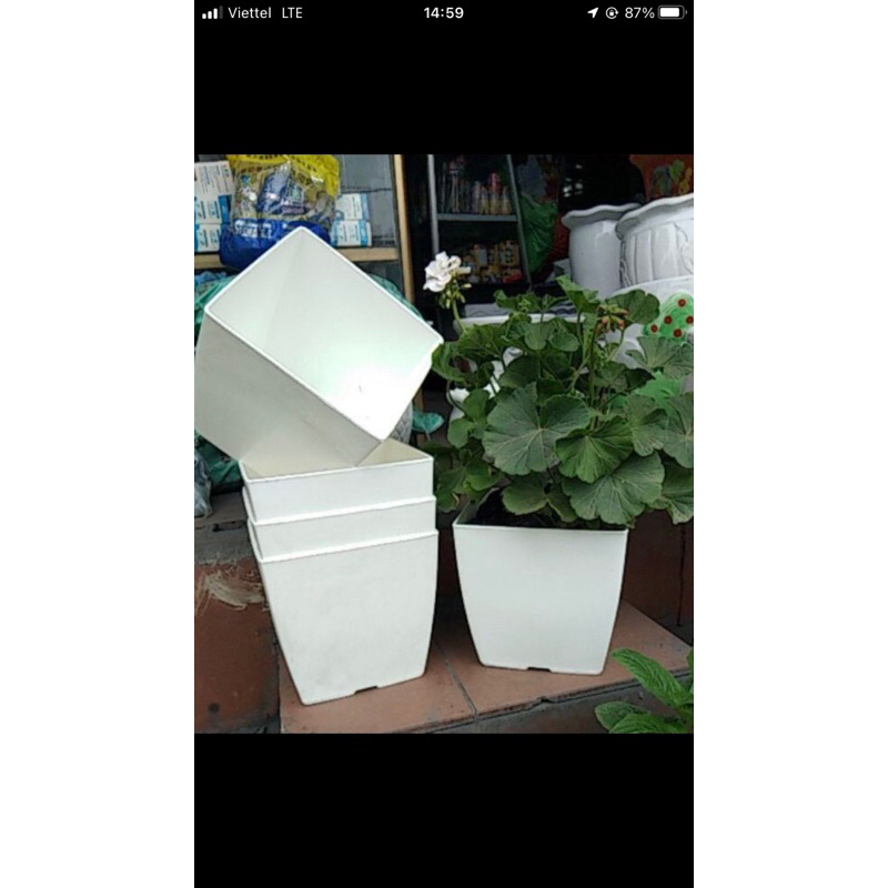 [LOẠI 1] Chậu nhựa vuông trồng hoa cây cảnh văn phòng V16 (15x15cm), chậu vuông màu