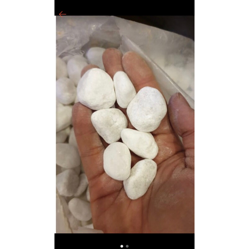 1kg Sỏi trắng trang trí cỡ đại siêu to