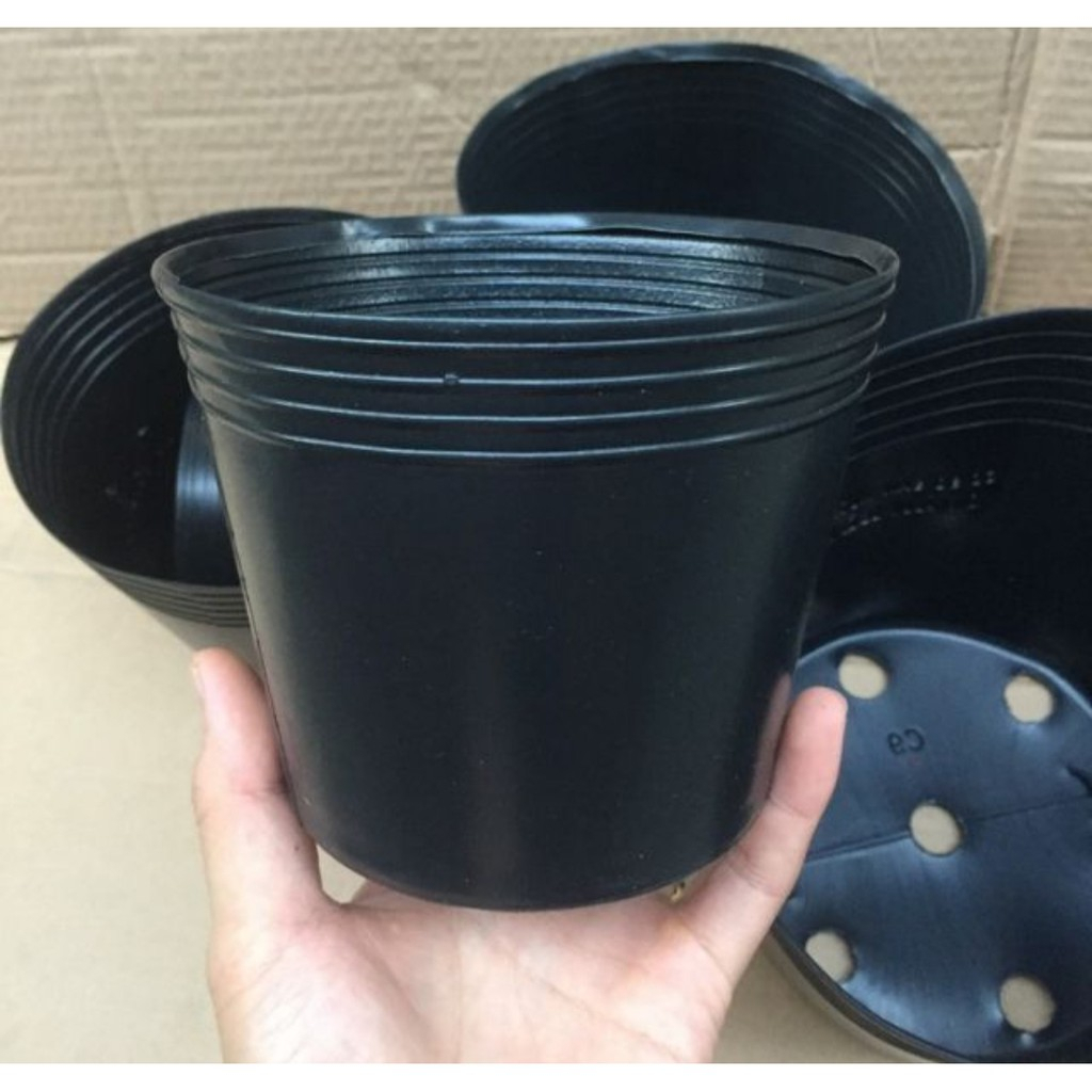Chậu Ươm Cây C5 Màu Đen (10 Chậu ) -[Gọn gàng, Dễ Trồng, Dễ chăm sóc]
