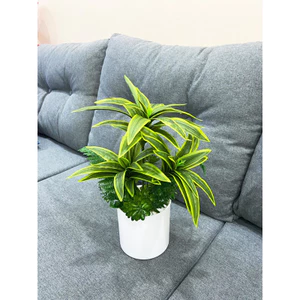 chậu hoa thuỷ trúc 40cm full combo như hình - cây giả trang trí
