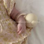 Hộp Đựng Ti Giả TGM Hình Gấu Dễ Thương Hàn Quốc Cho Bé