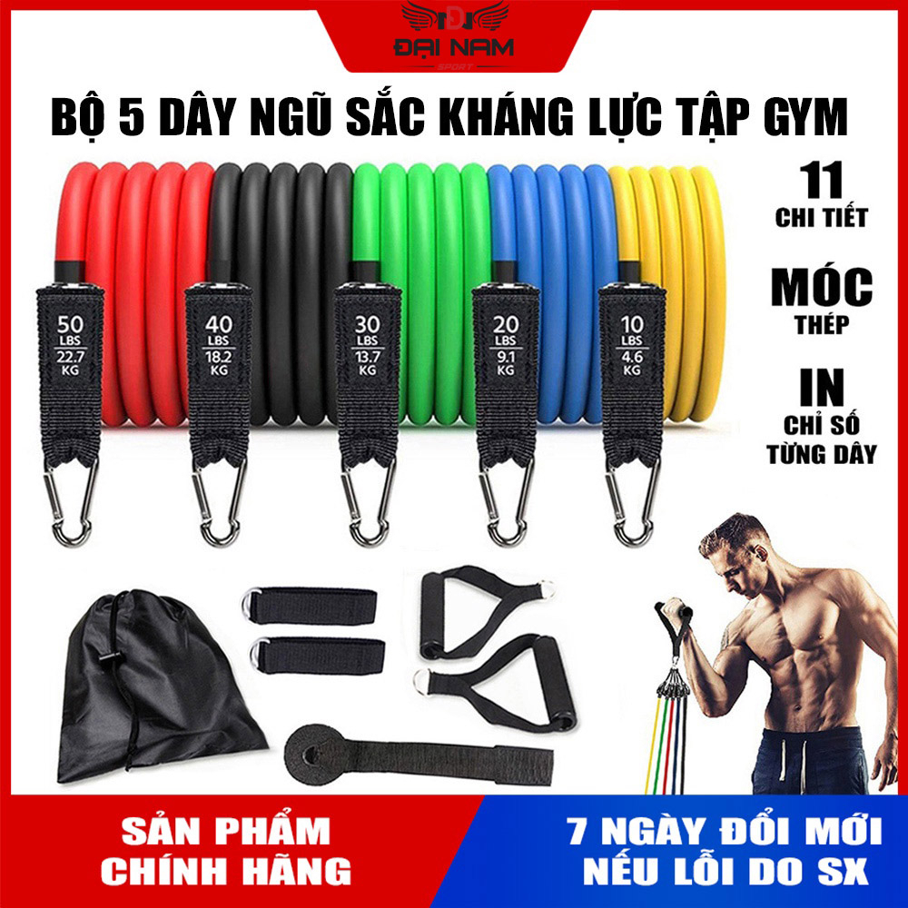 Ảnh Bộ 5 Dây Kéo Ngũ Sắc Tập Gym Tổng 150LB Cỡ Lớn (Hàng Loại 1) Chính Hãng Đại Nam Sport 1