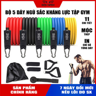 Bộ 5 Dây Kéo Ngũ Sắc Tập Gym Tổng 150LB Cỡ Lớn (Hàng Loại 1) Chính Hãng Đại Nam Sport