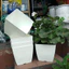 Chậu nhựa V20 vuông trồng hoa cây cảnh văn phòng , chậu vuông màu trắng dày đẹp, KT 20x20cm