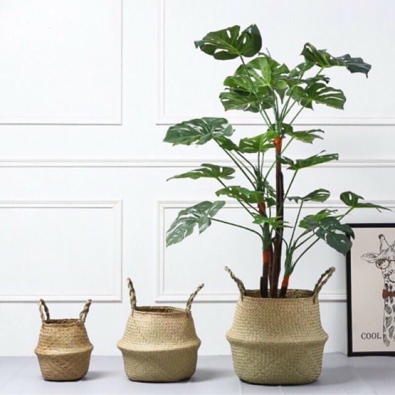 Giỏ cói dùng trồng cây và trang trí nhà và decor quán siêu đẹp