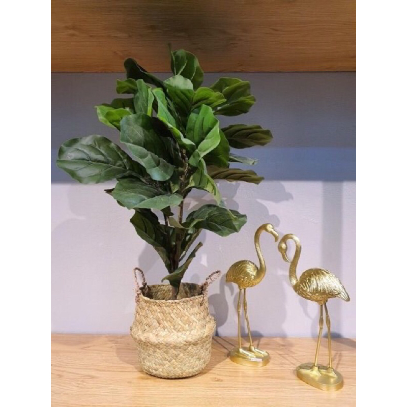 Giỏ cói dùng trồng cây và trang trí nhà và decor quán siêu đẹp