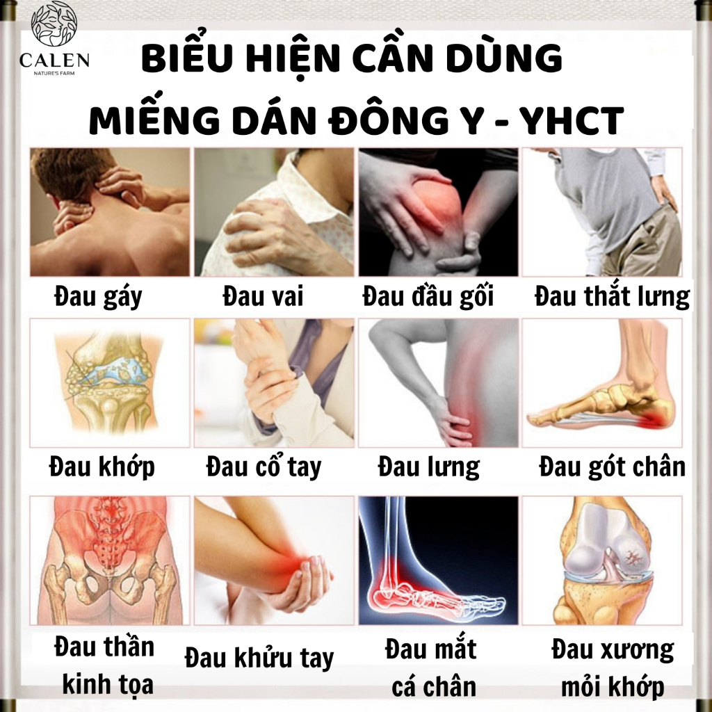 Cao dán xương khớp Calen Nature Farm cho người đau lưng, đau cổ vai gáy, đau khớp gối,đau thần kinh tọa bịch 3 miếng lớn