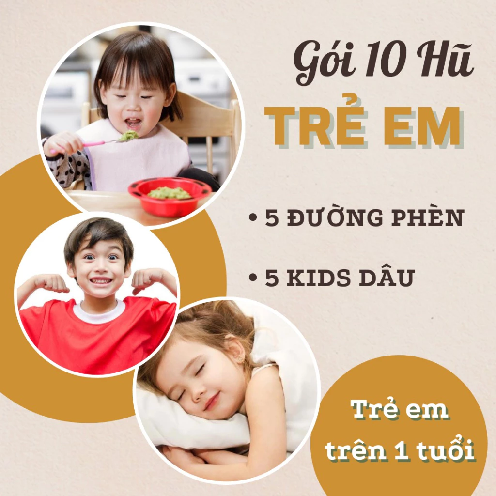 [Set 10 Hũ 0.4gr] Hộp Quà Tết Tổ Yến Chưng Sẵn 30% hũ 70ml Thành Tâm Yến, Khánh Hòa - Quà Biếu Tặng, Quà Tết Cao Cấp