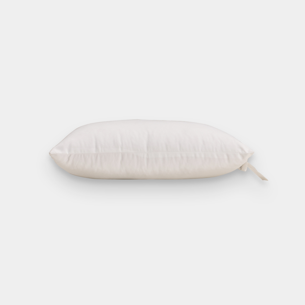 Ảnh Ruột gối tựa vuông 45*45cm 2