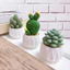 Bộ sưu tập mô hình chậu cây xương rồng, sen đá tí hon dễ thương tiểu cảnh mini, bày bàn làm việc, bàn học, taplo ô tô