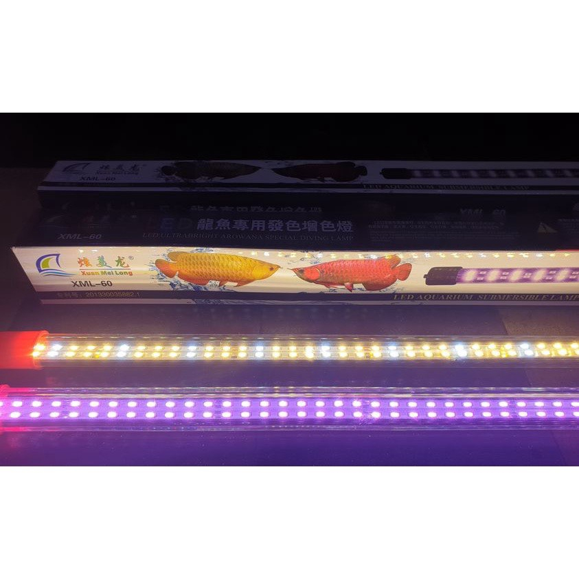 Đèn Led XML Chuyên Dụng Cho Cá Rồng - Led Xuanmeilong Phiên Bản Thủy ...