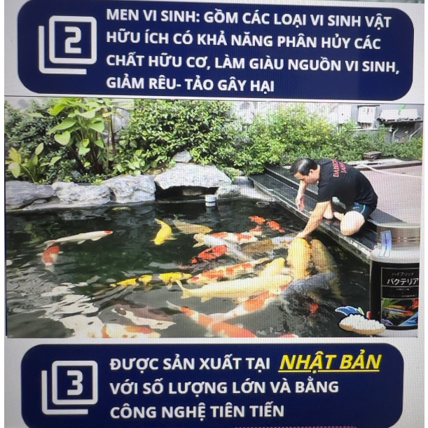 VI SINH DẠNG VIÊN AQUARISTA LÀM TRONG NƯỚC BỂ CÁ CẢNH NHẬT BẢN