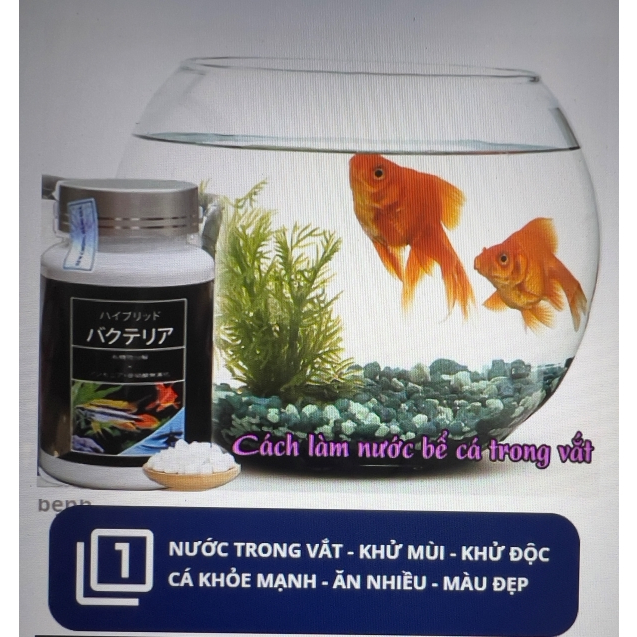 VI SINH DẠNG VIÊN AQUARISTA LÀM TRONG NƯỚC BỂ CÁ CẢNH NHẬT BẢN