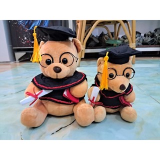 [HCM] Gấu tốt nghiệp, quà tặng