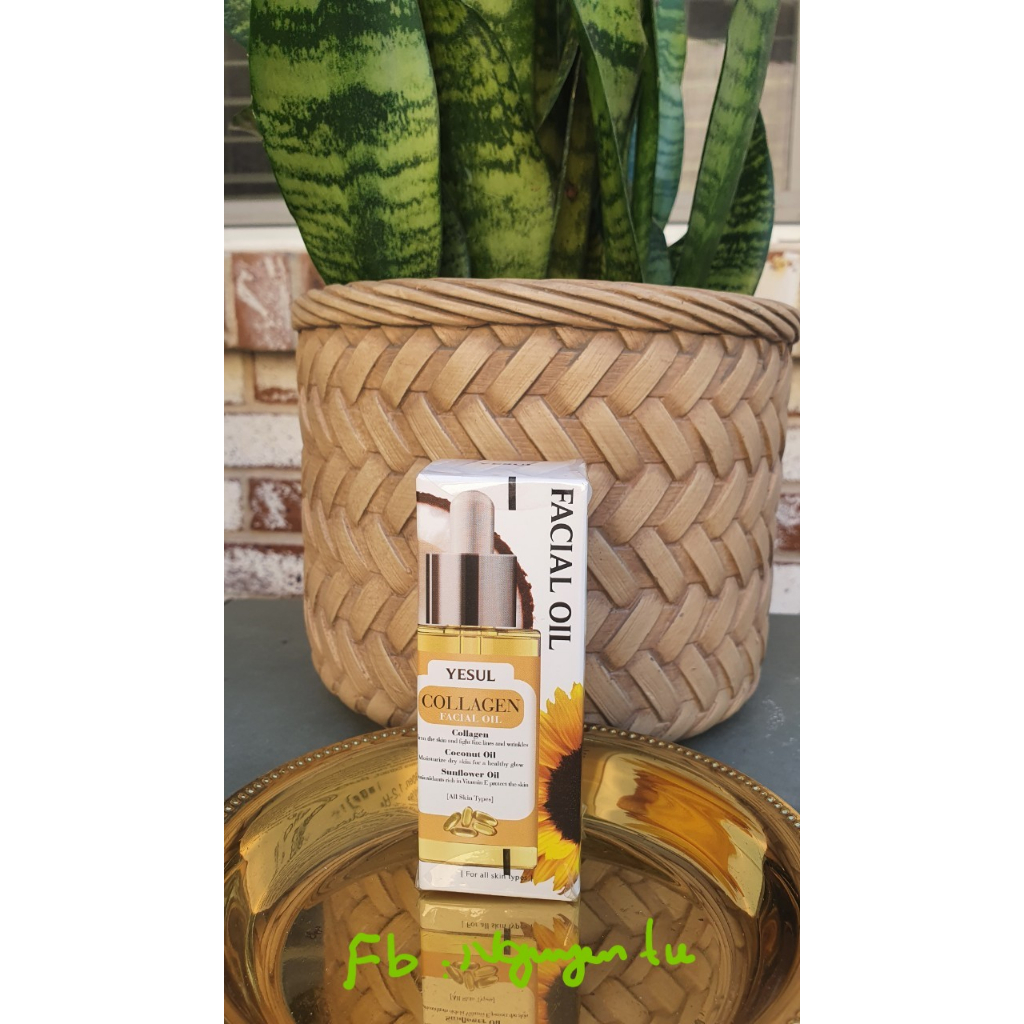 Korean Beauty Yesul Collagen Face Oil with Coconut and Sunflower Oil 1