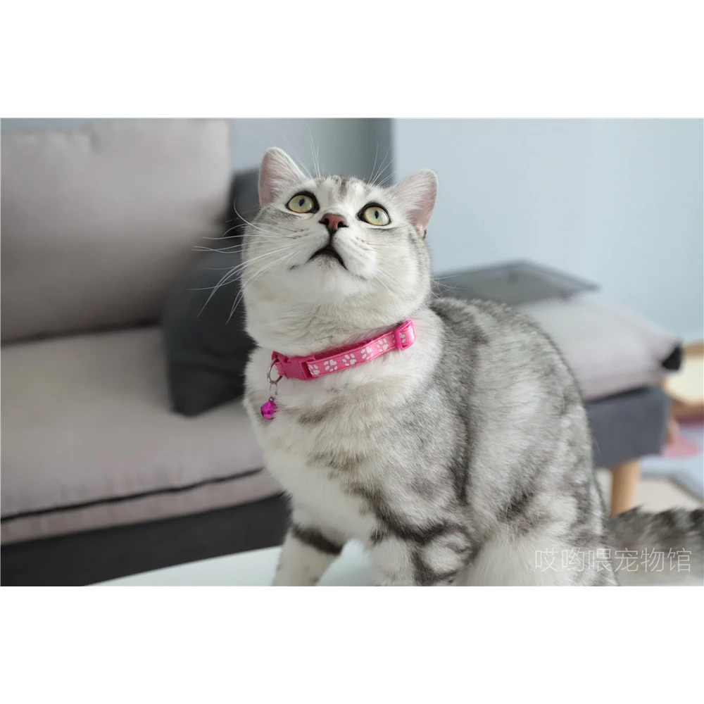 Vòng cổ có thể điều chỉnh kích thước