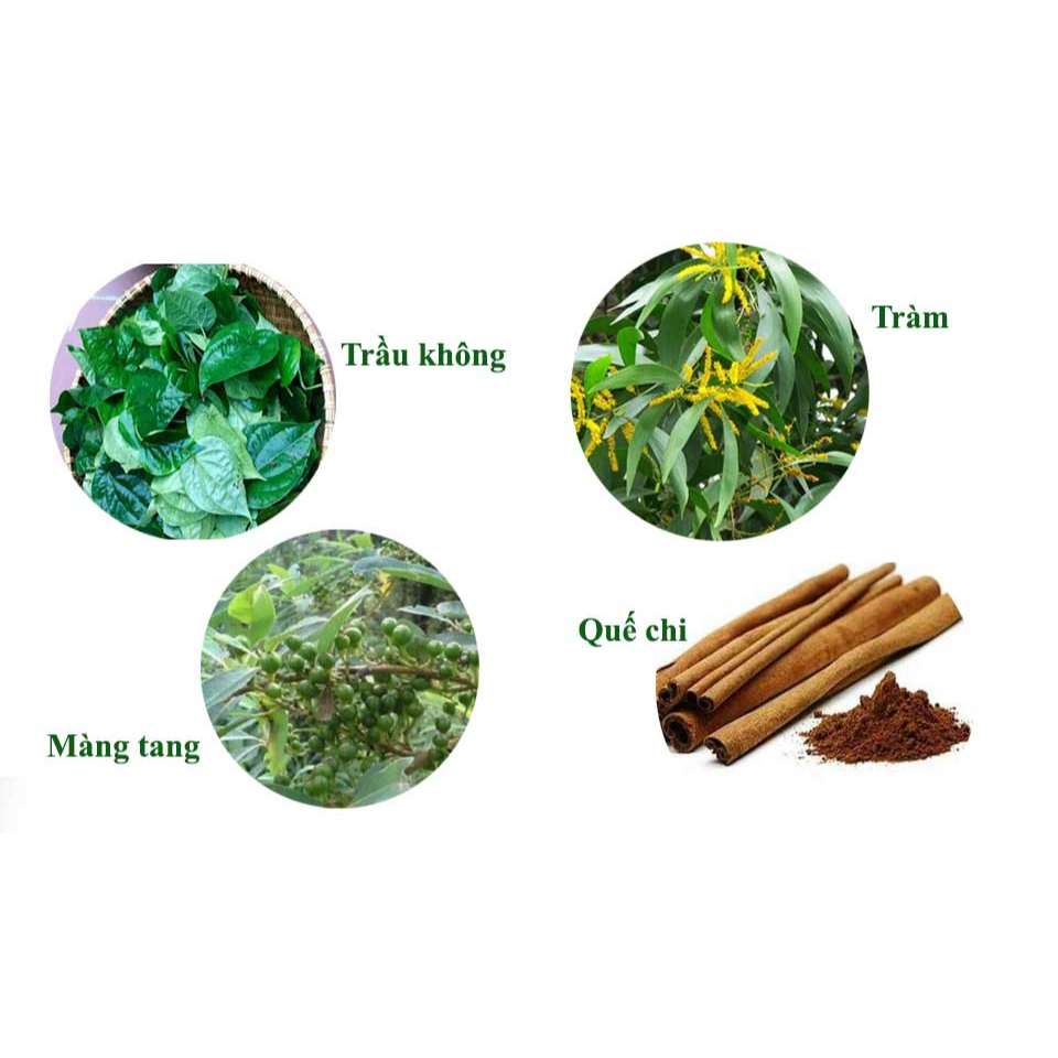 Ảnh Tinh Dầu Lợi An Bôi Ho Đờm, Sổ Mũi, Khò Khè Cho Bé An Toàn Hiệu Quả 2