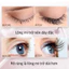 Serum Dưỡng Mi Huyết thanh dưỡng mi Eyelash & Eyebrow Enhancing Serum 10ml nhanh chóng hiệu quả cao mọc lại mi làm